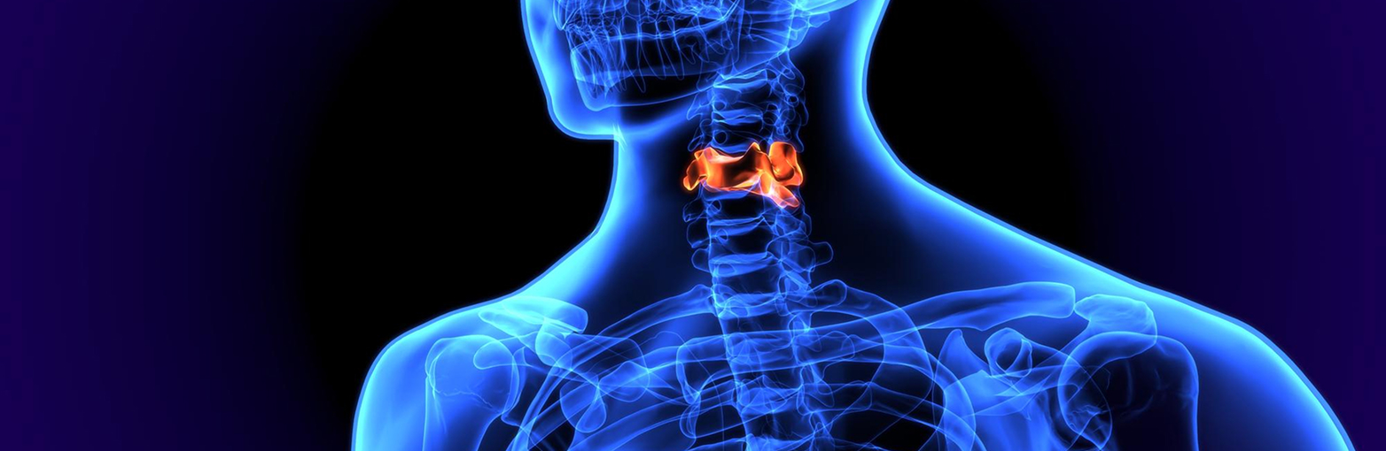 Thyroid Disorders