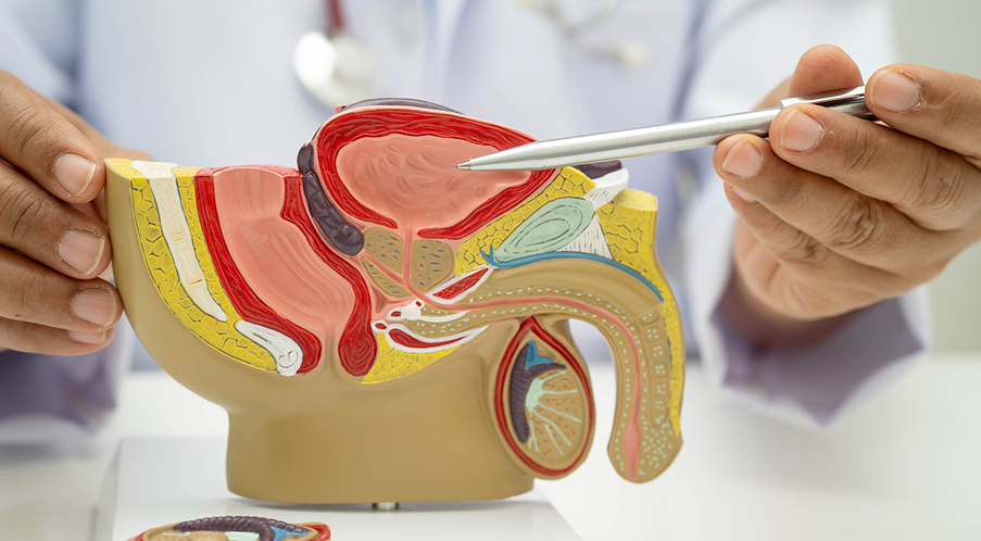 Andrology Care
