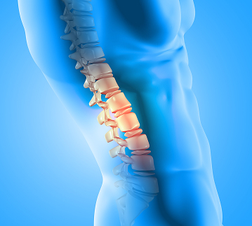 Endocrine Consultation
