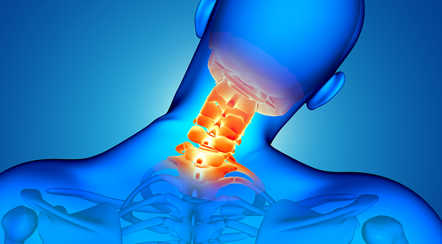 Osteoporosis and Bone Health Care