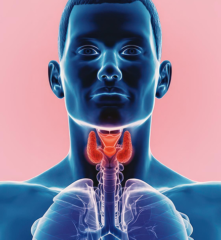 Endocrine Care