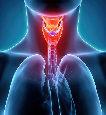 Thyroid Care