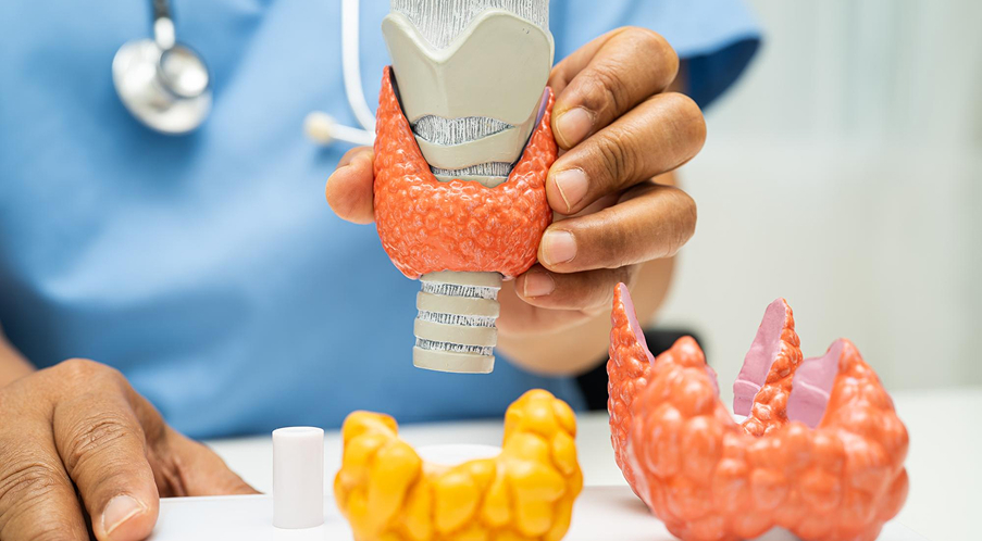 Thyroid Care
